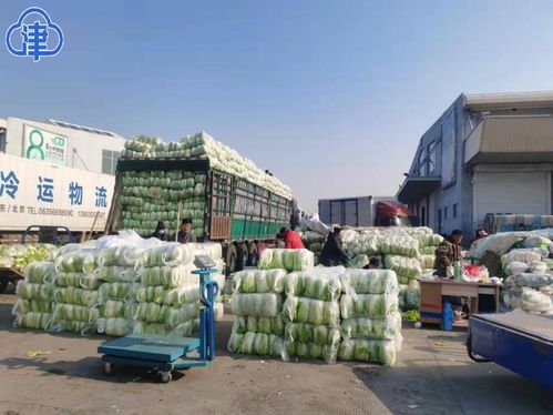 三天千里馳援 900噸天津鮮蔬鮮肉緊急調(diào)運(yùn)西安保障民生